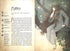 Magical Creatures of Ukrainian Myth. Nature Spirits
