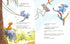 Dino-friends. Treasure hunting