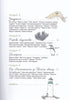 Anatomy of the Ocean. Incredible Places and Parts of the World Hidden Underwater