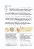 Anatomy of the Ocean. Incredible Places and Parts of the World Hidden Underwater