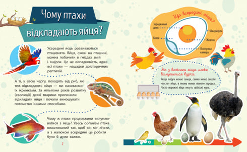 Чомусики. Тварини