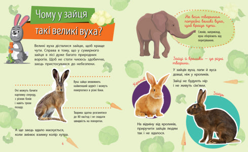 Чомусики. Тварини