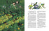 The Little House Spirit with a Palette - 9786175854006