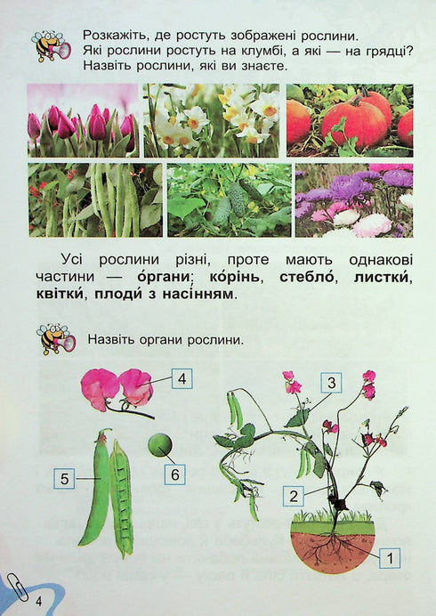 I Explore the World. Textbook. Grade 1. Part 2