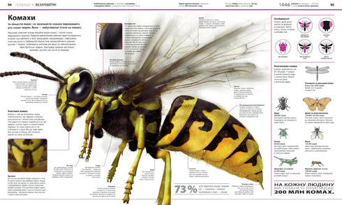 Енциклопедія знань