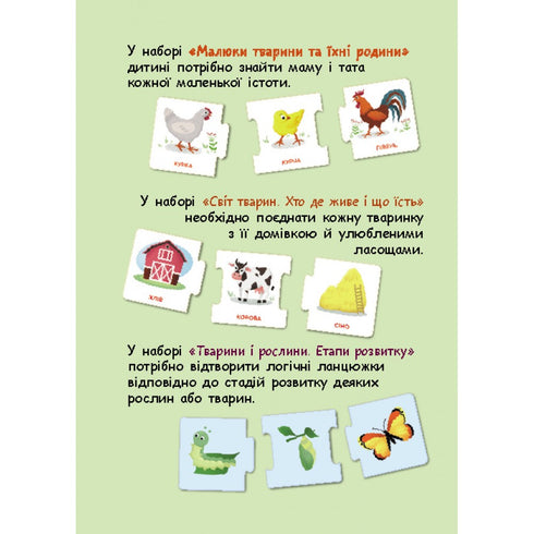 Логічні ланцюжки. Тварини і рослини. Етапи розвитку