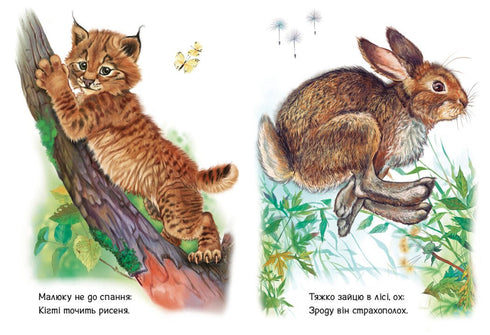 Little Ones About Animals. Forest Animals