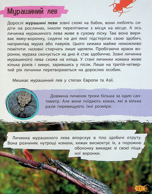 Mini encyclopedia. Insects and spiders