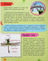Mini encyclopedia. Insects and spiders