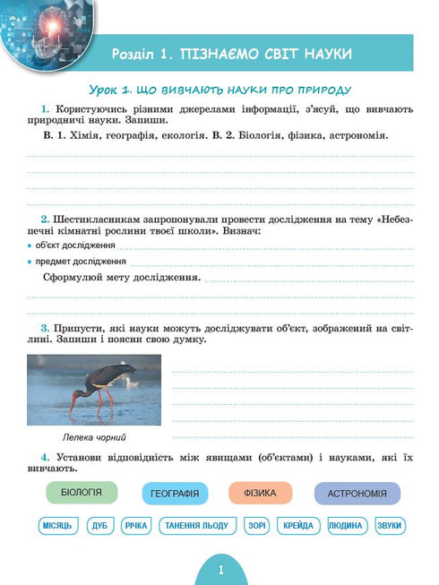 Exploring Nature Workbook and Diagnostic Tests Grade 6 - 9789661113564