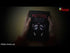 Metro 2033