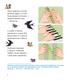 Developing Handwriting – Speaking Well. Fine Motor Skills Development