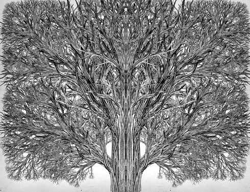 The School of Good and Evil. The One True King. Book 6