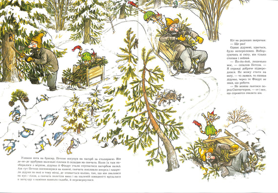 Різдво у Петсона