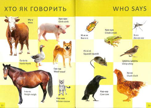 Baby's First Book