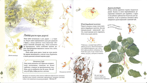 Експедиція з мурахою Софі. Досліджуємо природу навколо нас