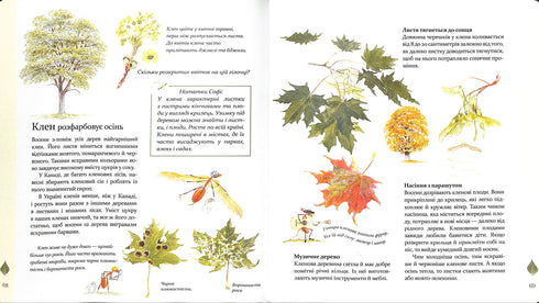 Експедиція з мурахою Софі. Досліджуємо природу навколо нас