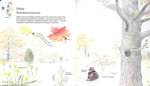 Експедиція з мурахою Софі. Досліджуємо природу навколо нас