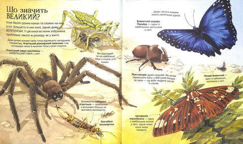 The Great Book of Insects and More