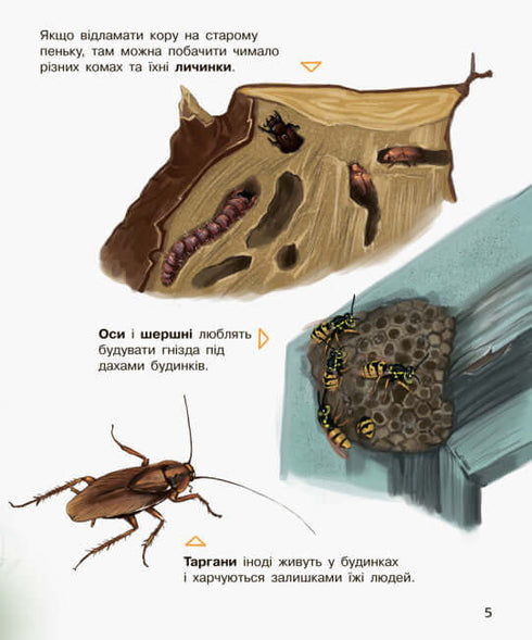 Енциклопедія дошкільника. Комахи (тираж закінчився)