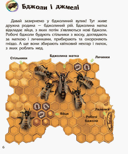 Енциклопедія дошкільника. Комахи (тираж закінчився)