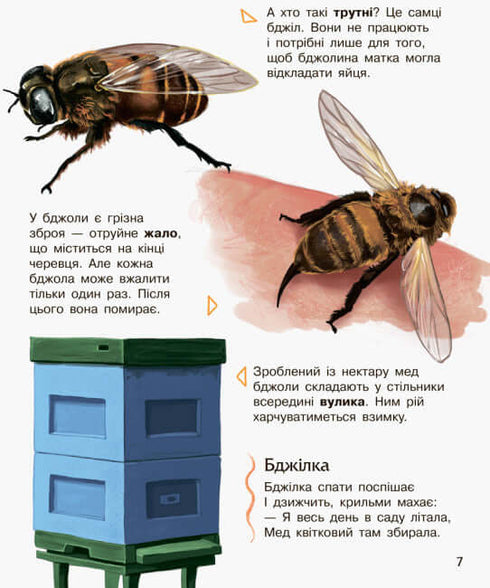 Енциклопедія дошкільника. Комахи (тираж закінчився)
