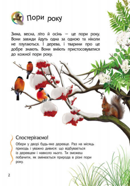 Encyclopedia of the Preschooler. Nature