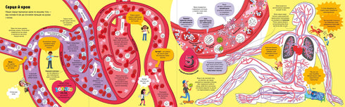 Велика книга про тіло