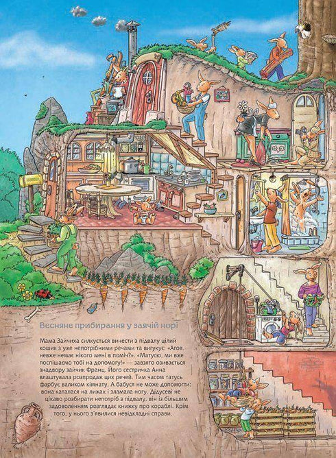 Bunny Franz. Big Look-and-Find Book